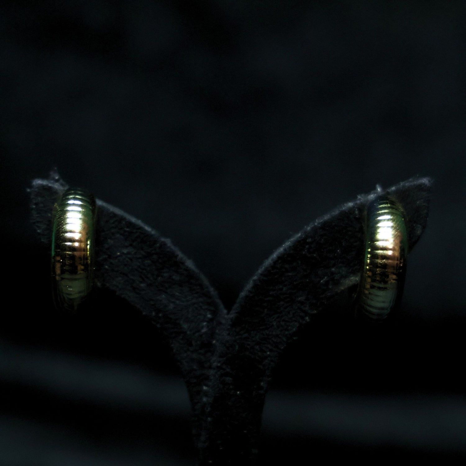 Sohni Hoops - Hey Banno